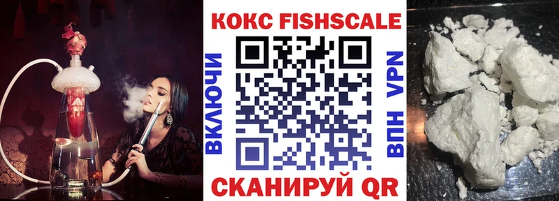 Купить  Дзержинский  Кокаин Fish Scale 