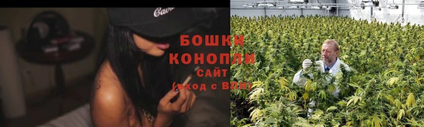 сатива Баксан