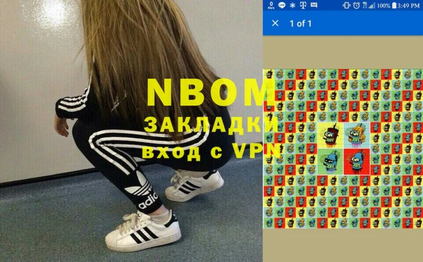 сатива Баксан